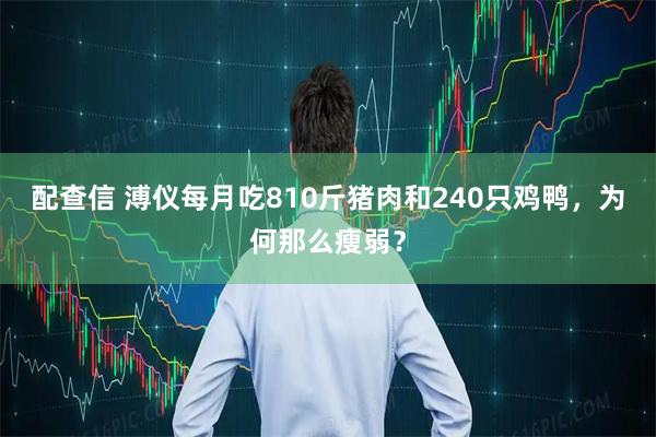 配查信 溥仪每月吃810斤猪肉和240只鸡鸭，为何那么瘦弱？