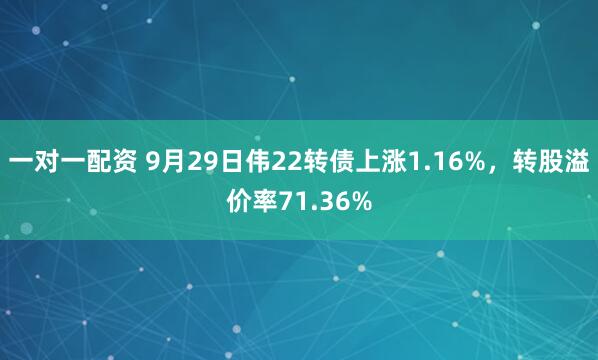 一对一配资 9月29日伟22转债上涨1.16%，转股溢价率71.36%